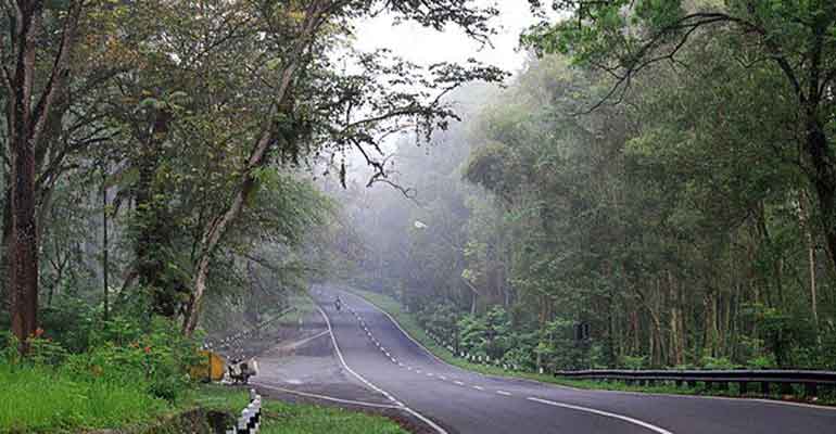 Hutan Bunder Gunungkidul Akan Jadi Obyek Wisata – Jogja Yogyakarta Istimewa