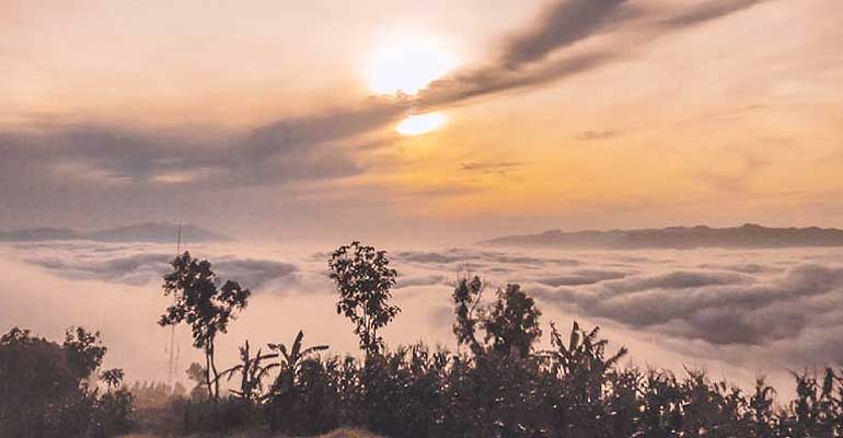 Wisata Jogja : Gunung Gambar, Pesona Hutan di Gunungkidul Utara