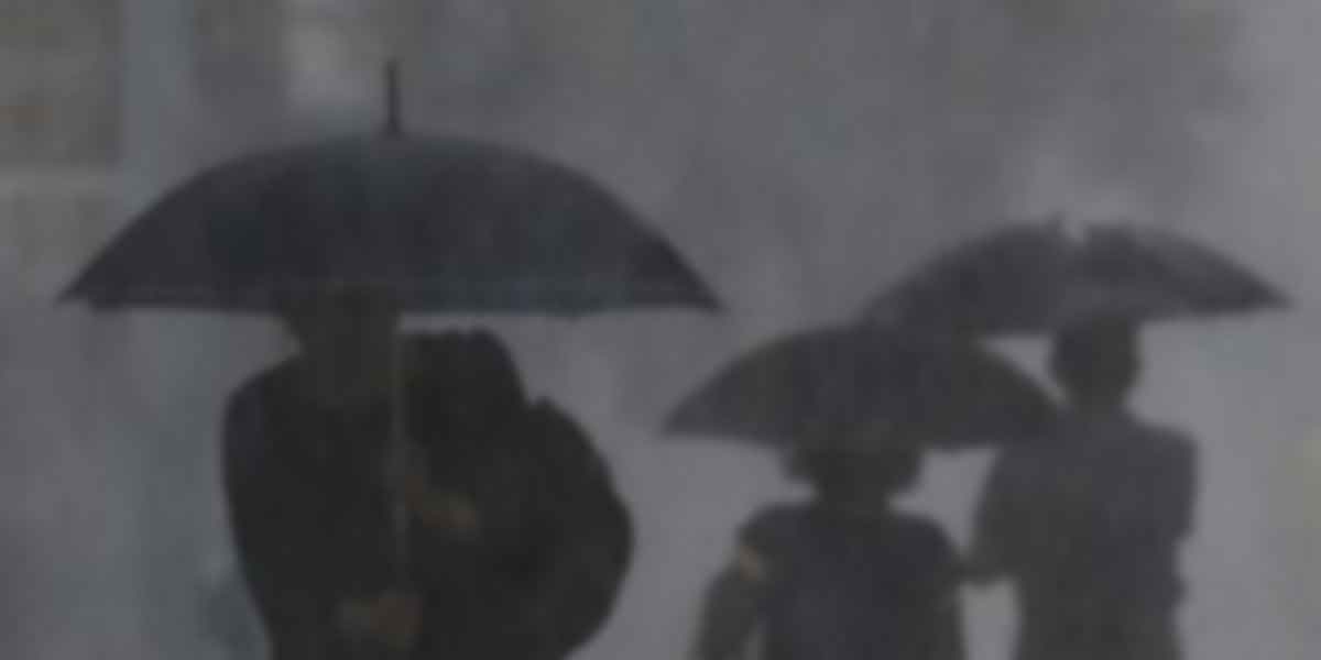 BMKG Prediksi Musim Hujan di Jogja Datang Lebih Awal, Masyarakat Diminta Waspadai Cuaca Ekstrem